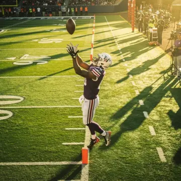 Pittsburgh Steelers wide receiver depth chart graphic highlighting 2026 free agency target Romeo Dou